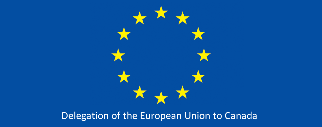 EU Delegation Mediaforce