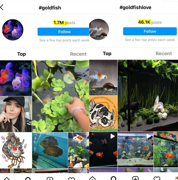 screenshot comparing hashtags by volume on the Instagram app to determine which hashtags to use as part of a business's social media marketing strategy on Instagram