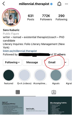 screenshot of Instagram business profile highlighting the email option for a visitor